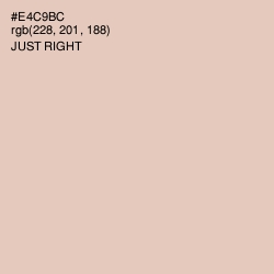 #E4C9BC - Just Right Color Image